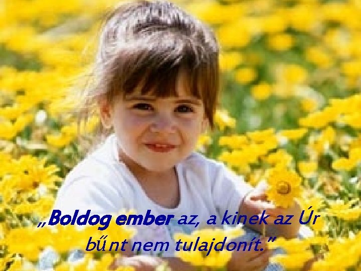 „Boldog ember az, a kinek az Úr bűnt nem tulajdonít. ” „Boldog ember az, a kinek az Úr bűnt nem tulajdonít. ”
