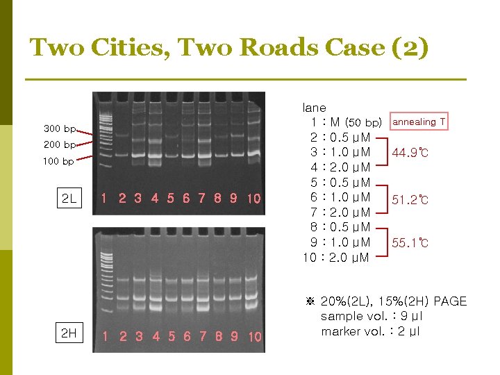 Two Cities, Two Roads Case (2) 300 bp 200 bp 100 bp 2 L