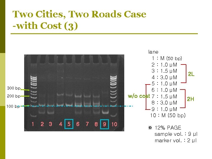 Two Cities, Two Roads Case -with Cost (3) lane 1 : M (50 bp)