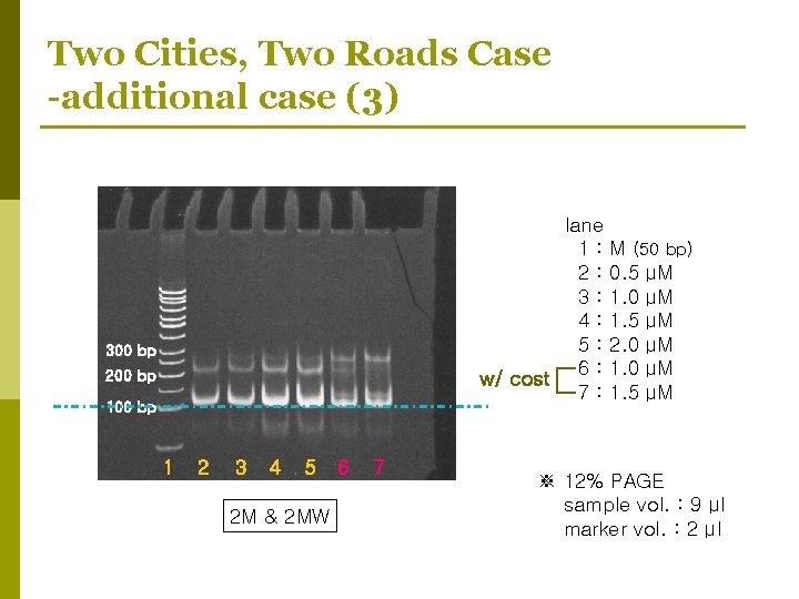 Two Cities, Two Roads Case -additional case (3) lane 1 : M (50 bp)