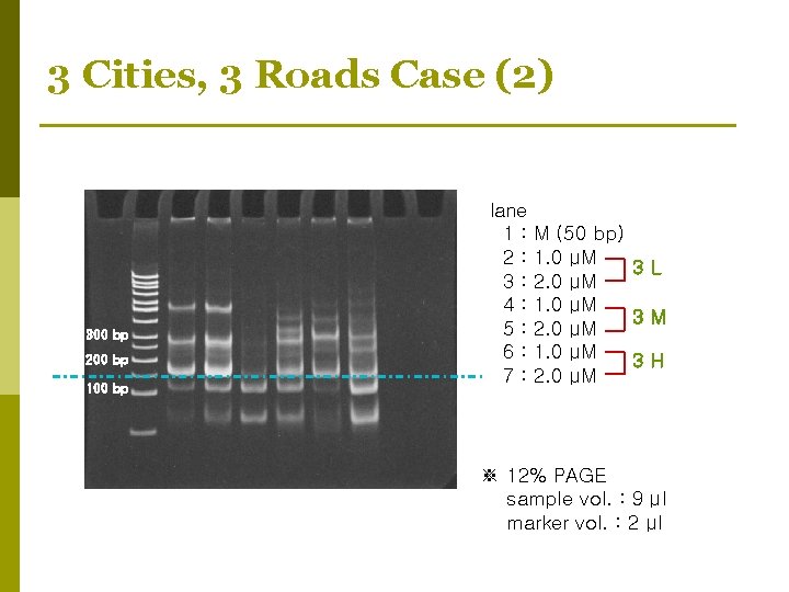 3 Cities, 3 Roads Case (2) 300 bp 200 bp 100 bp lane 1