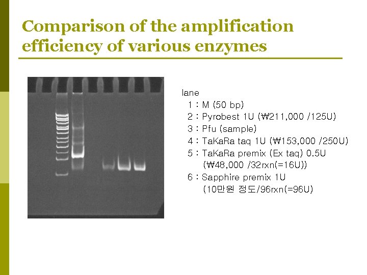 Comparison of the amplification efficiency of various enzymes lane 1 : M (50 bp) Comparison of the amplification efficiency of various enzymes lane 1 : M (50 bp)