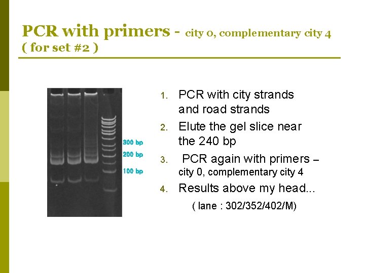 PCR with primers - city 0, complementary city 4 ( for set #2 )