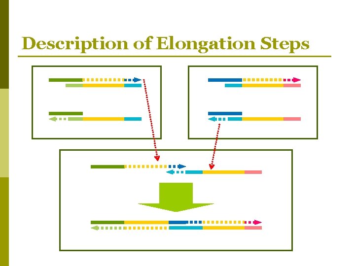 Description of Elongation Steps 