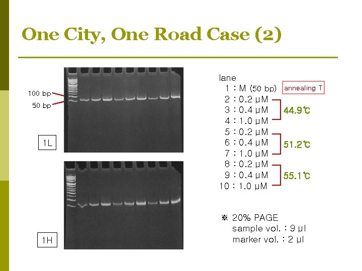 One City, One Road Case (2) 100 bp 50 bp 1 L 1 H