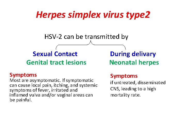 Herpes simplex virus type 2 HSV-2 can be transmitted by Sexual Contact Genital tract