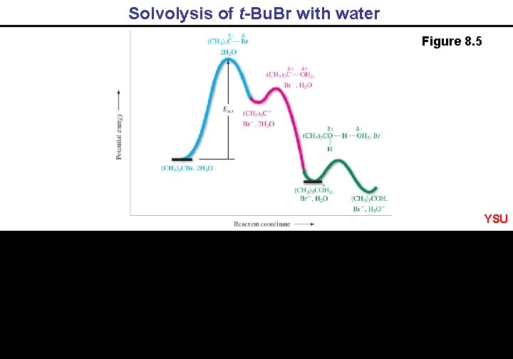 Solvolysis of t-Bu. Br with water Figure 8. 5 YSU 