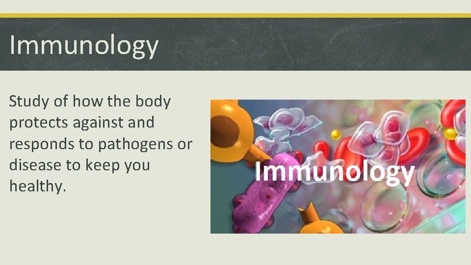 Immunology Study of how the body protects against and responds to pathogens or disease