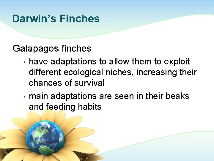 Darwin’s Finches Galapagos finches • • have adaptations to allow them to exploit different