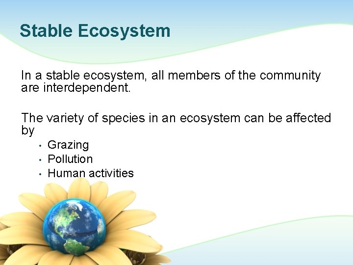 Stable Ecosystem In a stable ecosystem, all members of the community are interdependent. The