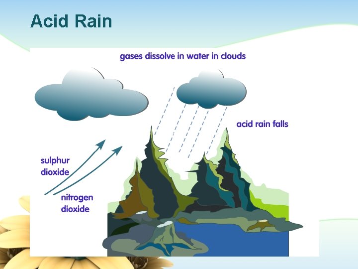 Acid Rain 