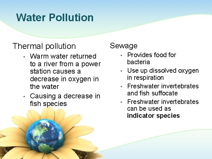 Water Pollution Thermal pollution • • Warm water returned to a river from a