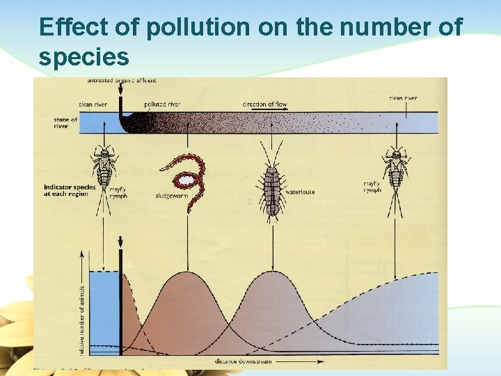 Effect of pollution on the number of species 