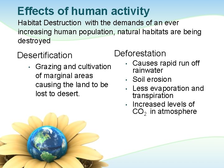 Effects of human activity Habitat Destruction with the demands of an ever increasing human