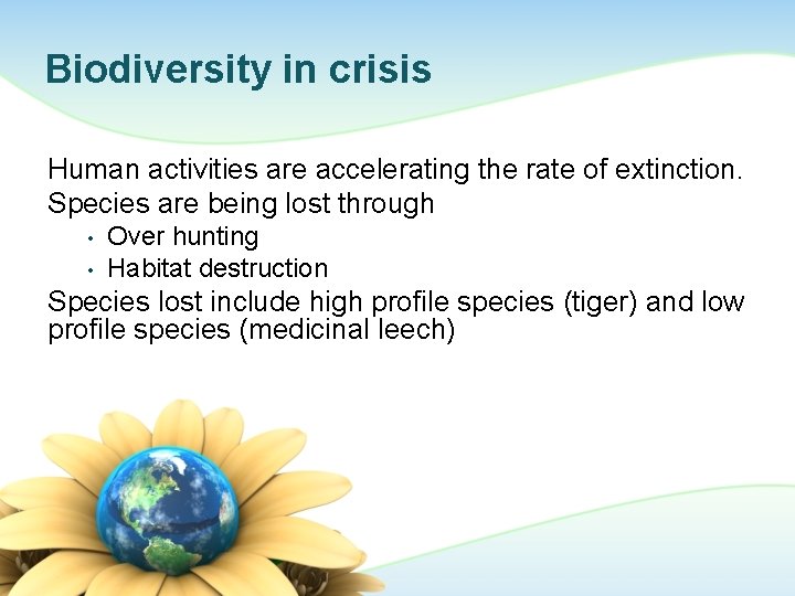 Biodiversity in crisis Human activities are accelerating the rate of extinction. Species are being