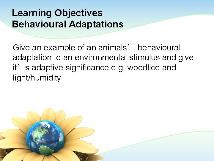 Learning Objectives Behavioural Adaptations Give an example of an animals’ behavioural adaptation to an