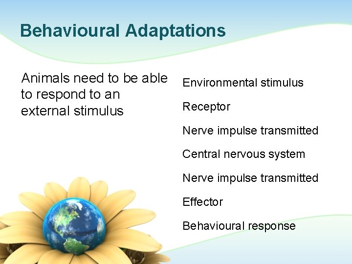 Behavioural Adaptations Animals need to be able to respond to an external stimulus Environmental