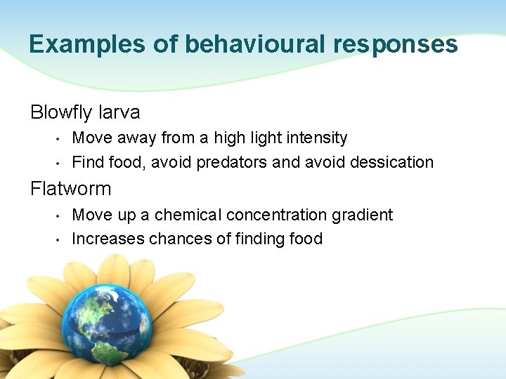 Examples of behavioural responses Blowfly larva • • Move away from a high light