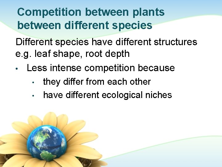 Competition between plants between different species Different species have different structures e. g. leaf