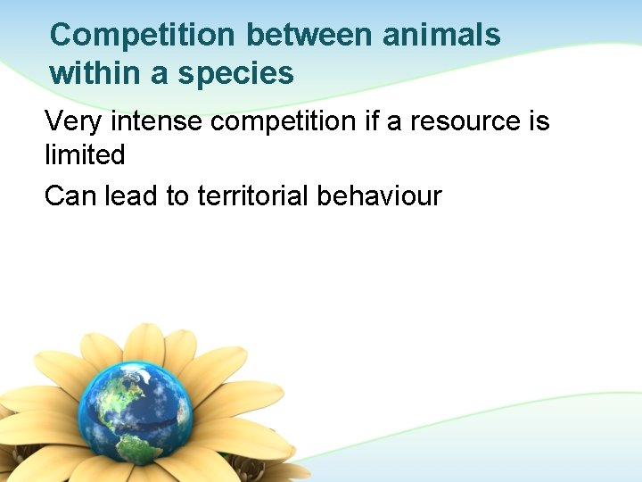 Competition between animals within a species Very intense competition if a resource is limited