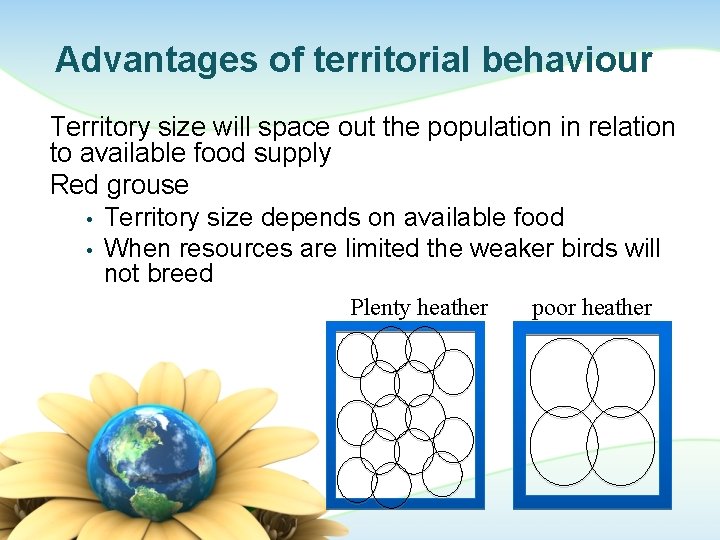 Advantages of territorial behaviour Territory size will space out the population in relation to