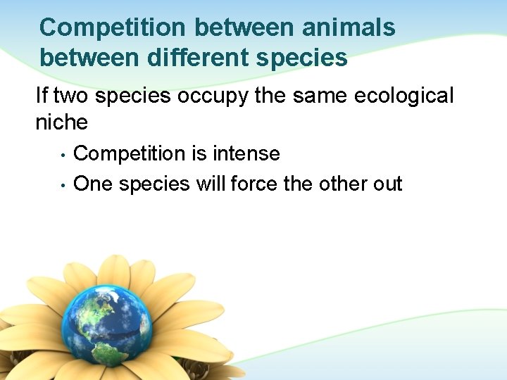 Competition between animals between different species If two species occupy the same ecological niche