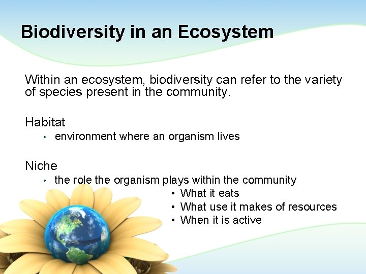 Biodiversity in an Ecosystem Within an ecosystem, biodiversity can refer to the variety of