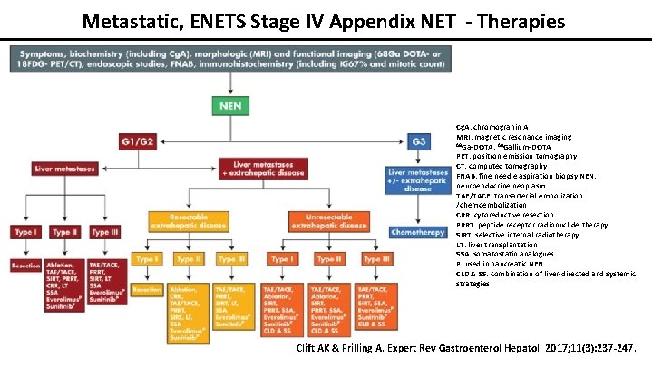 Metastatic, ENETS Stage IV Appendix NET - Therapies Cg. A: chromogranin A MRI: magnetic