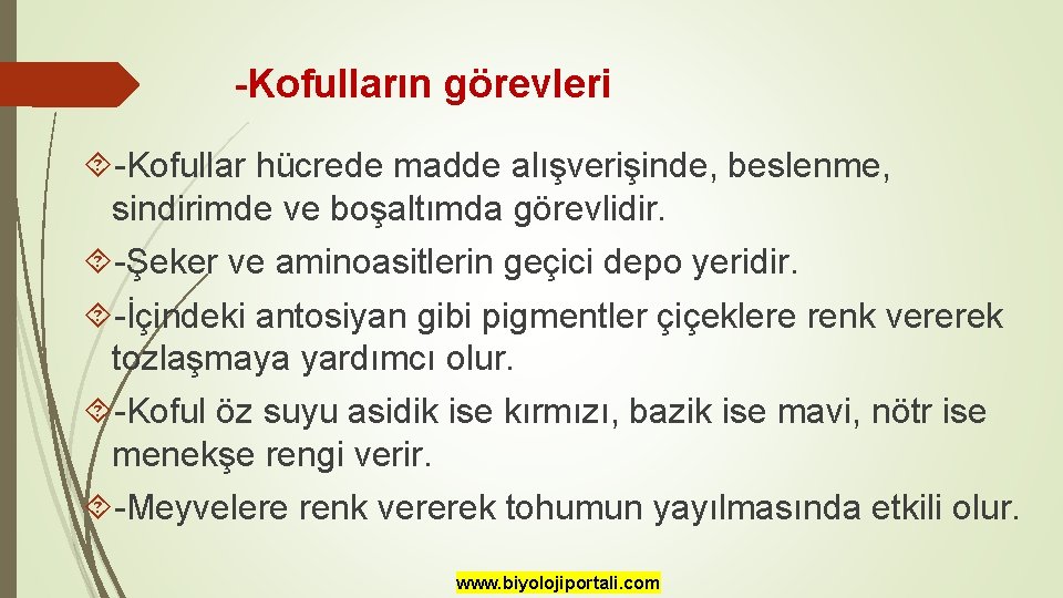 -Kofulların görevleri -Kofullar hücrede madde alışverişinde, beslenme, sindirimde ve boşaltımda görevlidir. -Şeker ve aminoasitlerin