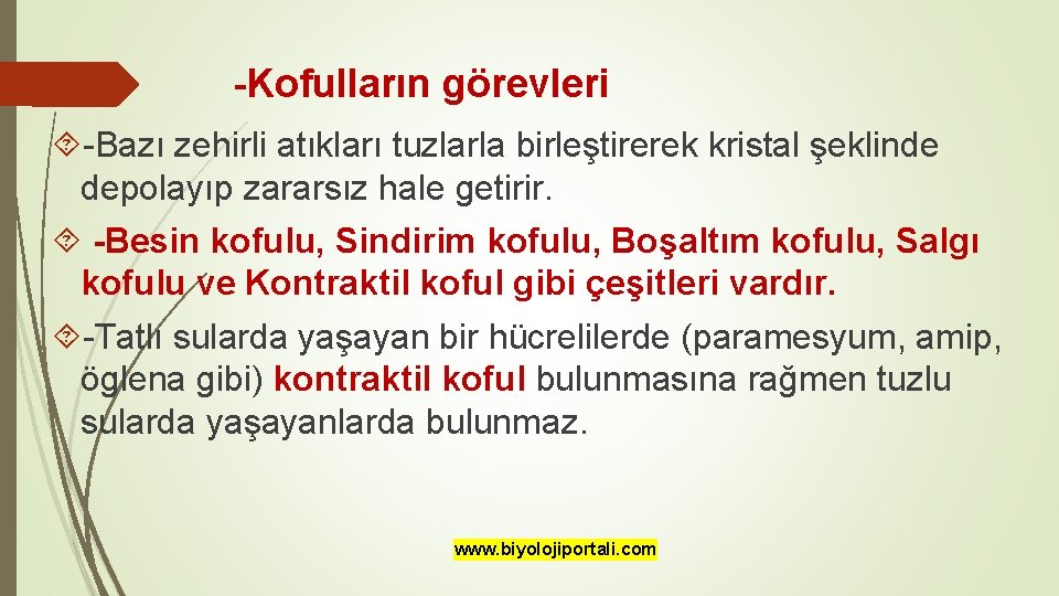 -Kofulların görevleri -Bazı zehirli atıkları tuzlarla birleştirerek kristal şeklinde depolayıp zararsız hale getirir. -Besin