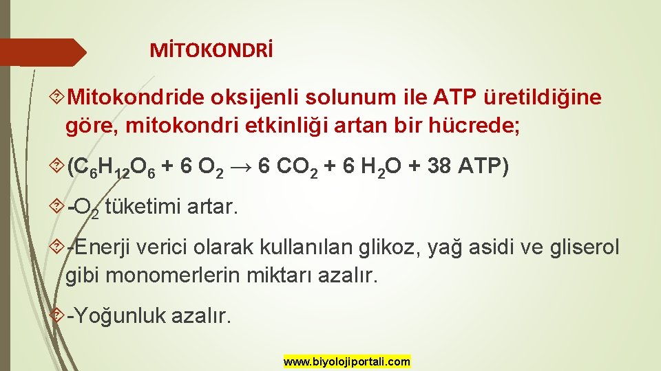 MİTOKONDRİ Mitokondride oksijenli solunum ile ATP üretildiğine göre, mitokondri etkinliği artan bir hücrede; (C