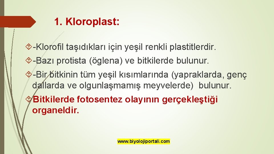 1. Kloroplast: -Klorofil taşıdıkları için yeşil renkli plastitlerdir. -Bazı protista (öglena) ve bitkilerde bulunur.