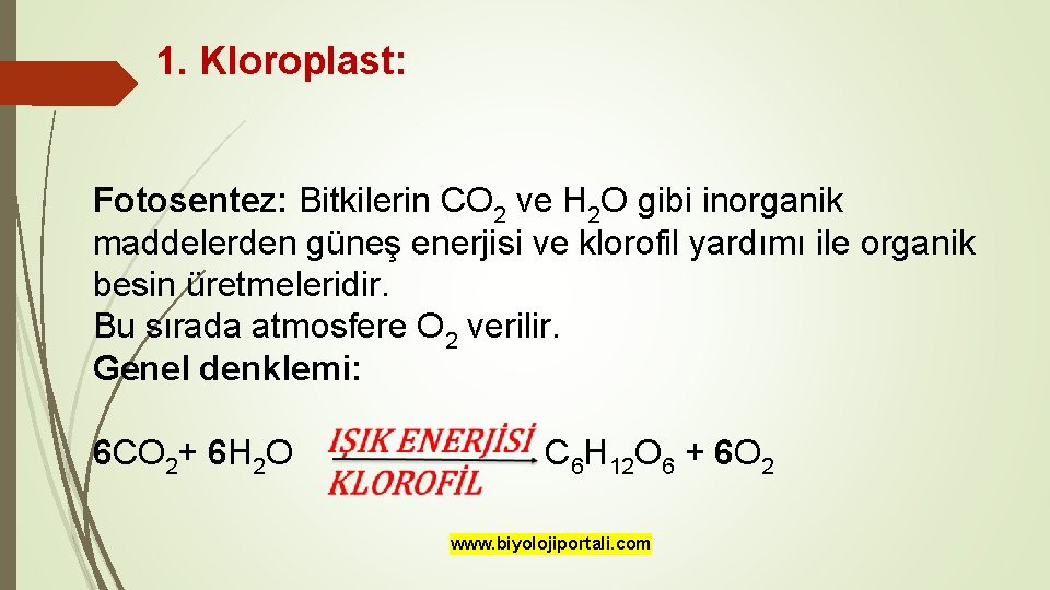 1. Kloroplast: Fotosentez: Bitkilerin CO 2 ve H 2 O gibi inorganik maddelerden güneş