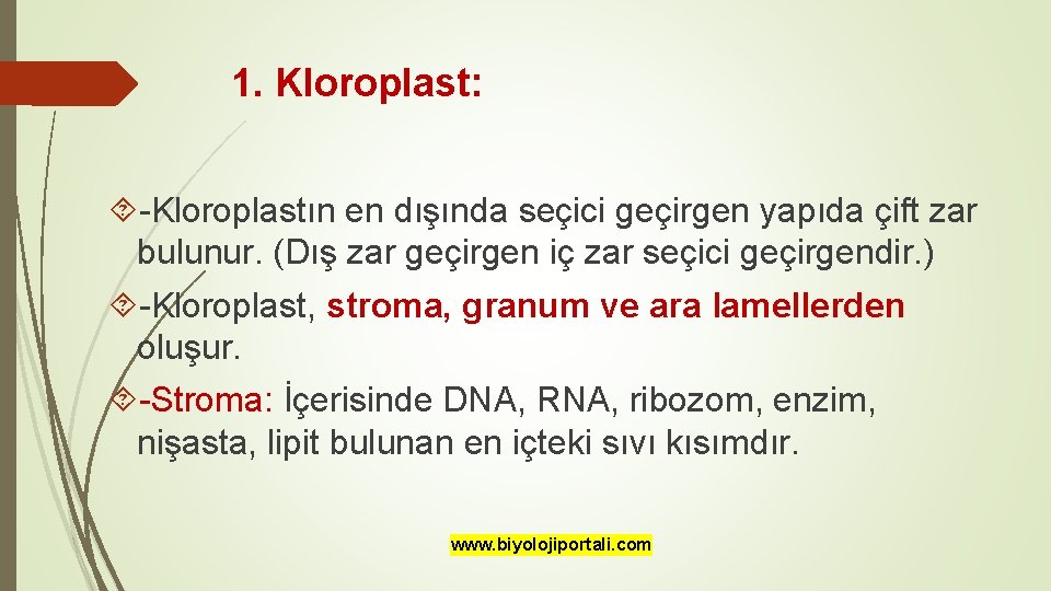 1. Kloroplast: -Kloroplastın en dışında seçici geçirgen yapıda çift zar bulunur. (Dış zar geçirgen