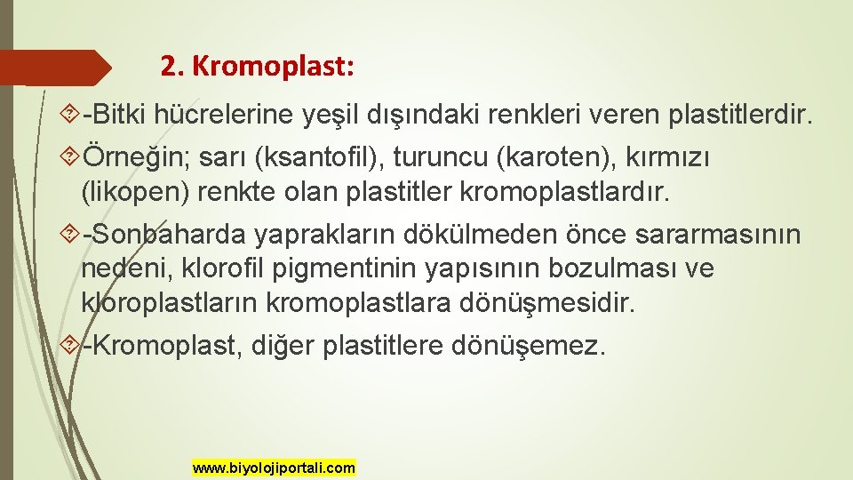 2. Kromoplast: -Bitki hücrelerine yeşil dışındaki renkleri veren plastitlerdir. Örneğin; sarı (ksantofil), turuncu (karoten),