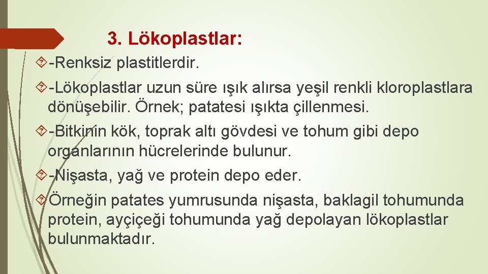 3. Lökoplastlar: -Renksiz plastitlerdir. -Lökoplastlar uzun süre ışık alırsa yeşil renkli kloroplastlara dönüşebilir. Örnek;