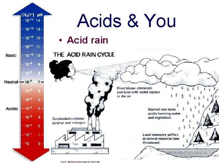 Acids & You • Acid rain Source: http: //www. newint. org/issue 114/rain. htm 