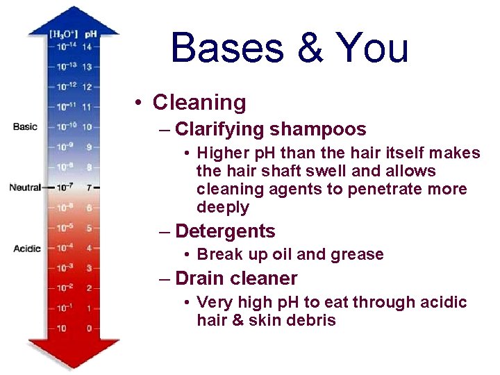 Bases & You • Cleaning – Clarifying shampoos • Higher p. H than the