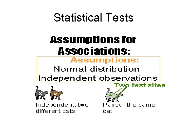Statistical Tests Statistical Tests