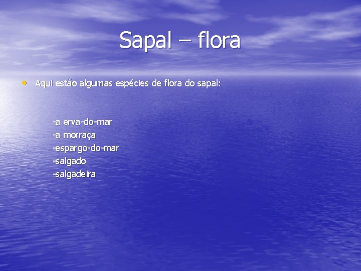 Sapal – flora • Aqui estão algumas espécies de flora do sapal: -a erva-do-mar