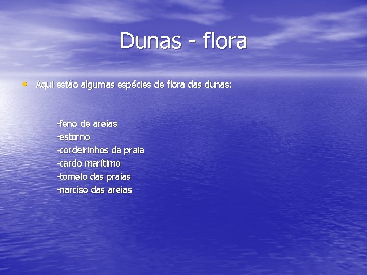 Dunas - flora • Aqui estão algumas espécies de flora das dunas: -feno de