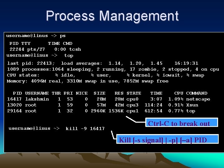Process Management username@linus ~> ps PID TTY TIME CMD 22244 pts/27 0: 00 tcsh Process Management username@linus ~> ps PID TTY TIME CMD 22244 pts/27 0: 00 tcsh