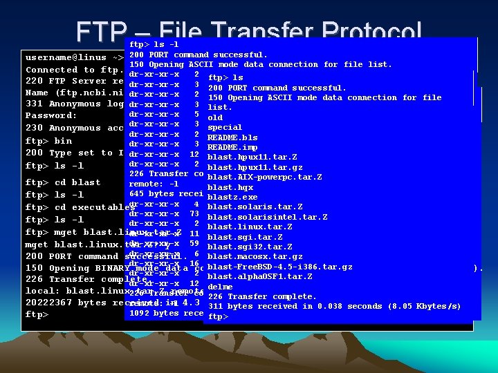 FTP – File Transfer Protocol ftp> ls -l command successful. username@linus ~> 200 ftp FTP – File Transfer Protocol ftp> ls -l command successful. username@linus ~> 200 ftp