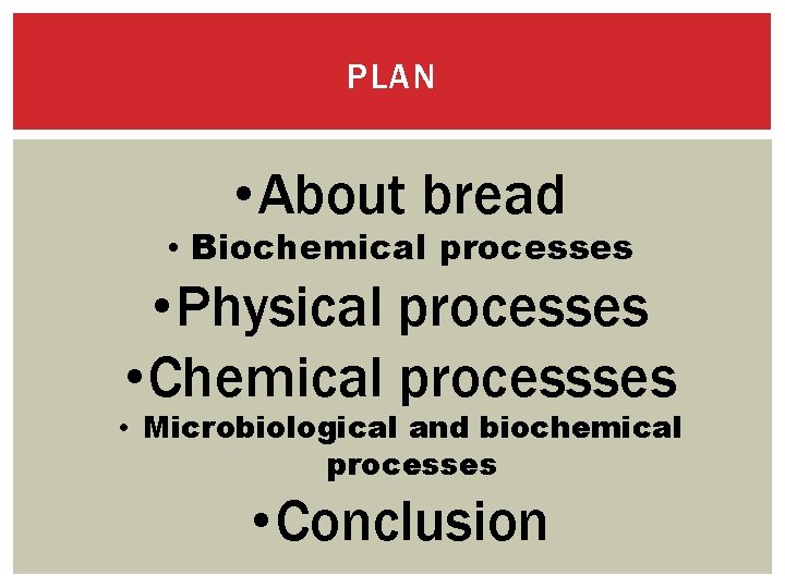 PLAN • About bread • Biochemical processes • Physical processes • Chemical processses •