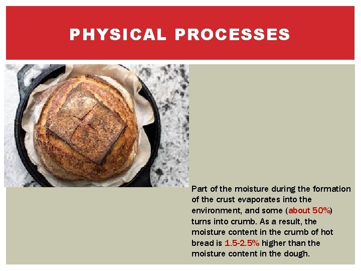 PHYSICAL PROCESSES Part of the moisture during the formation of the crust evaporates into