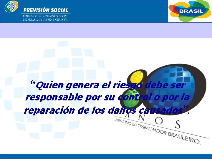 BRASIL “Quien genera el riesgo debe ser responsable por su control o por la