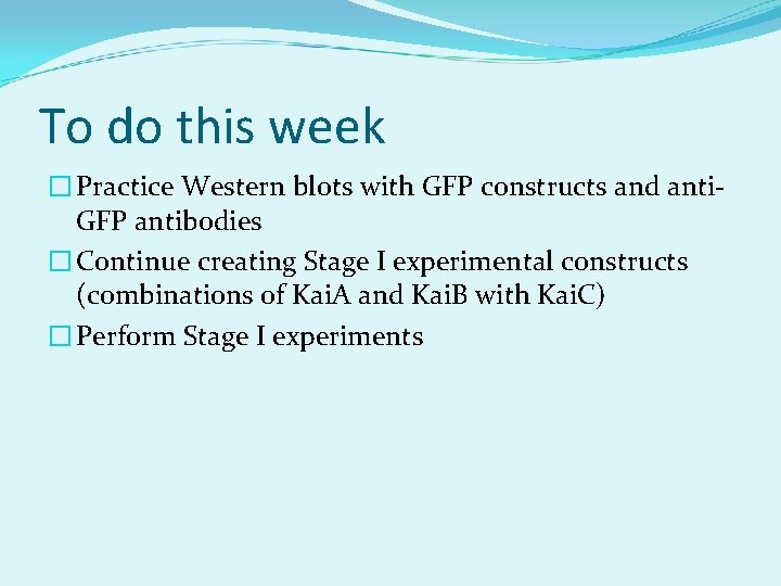 To do this week � Practice Western blots with GFP constructs and anti. GFP