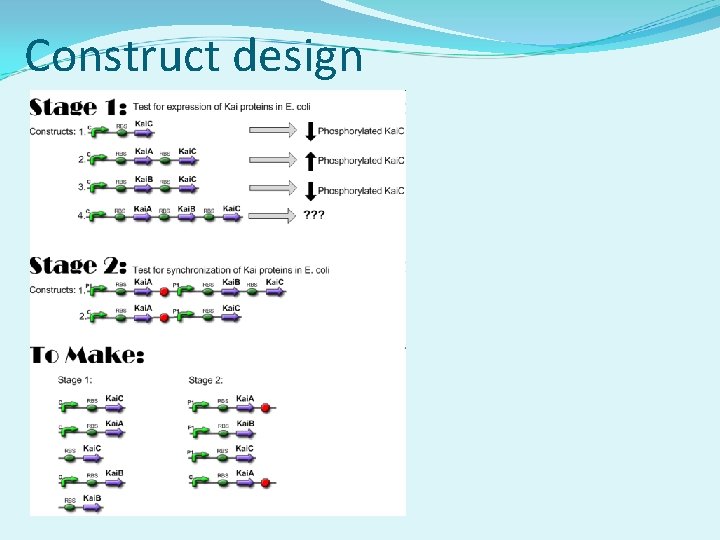 Construct design 