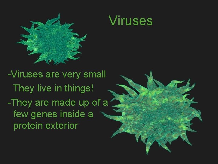 Viruses -Viruses are very small They live in things! -They are made up of