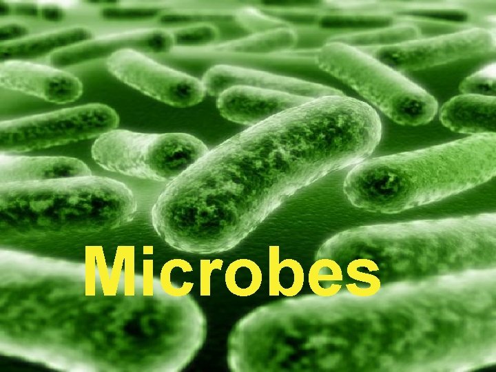 Microbes 